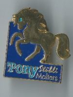 Pony Stübli Malters, Pin