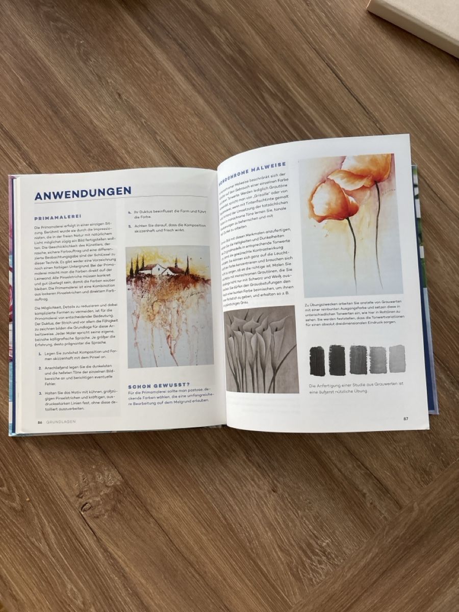 Libri: Acryl für Einsteiger – Usato da Neuenhof venduto da Njanja03 1