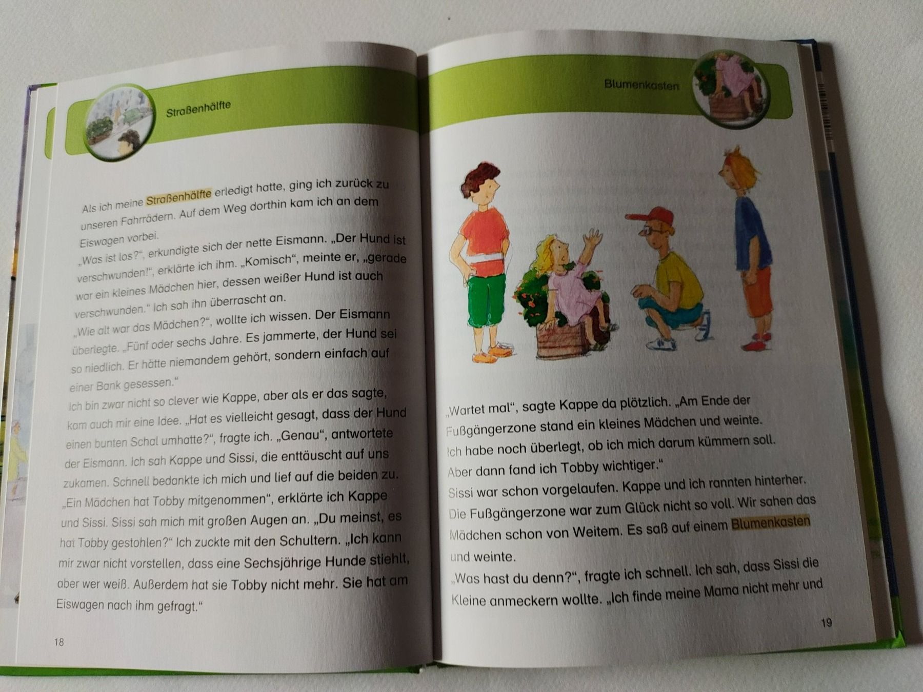 Libri: Detektiv Geschichten – Usato da Strengelbach venduto da Phorensic_30 2