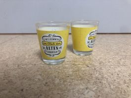 Shotgläser Willkommen im Club der alten Schachteln