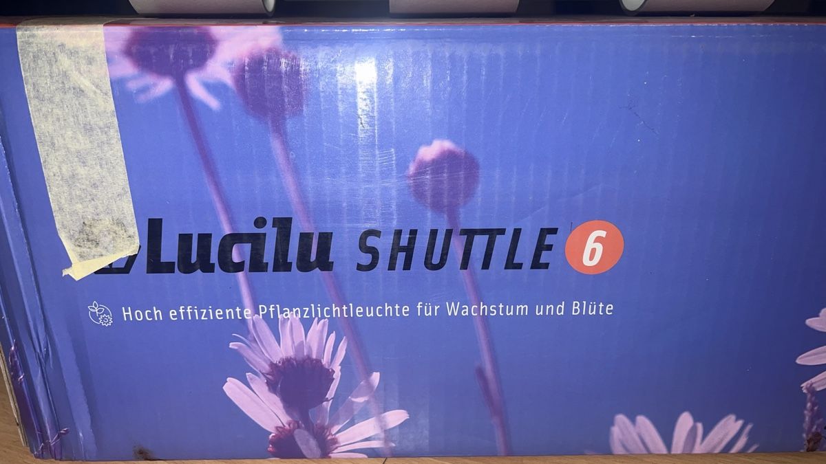 Lampade: Lucilu SHUTTLE 6 growup LED – Nuovo (secondo la descrizione) da Härkingen venduto da hamschter73 2