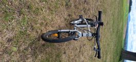 Erly Rider 16" in top Zustand ab Service