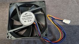 Mini Fan/Lüfter für Goldshell Box