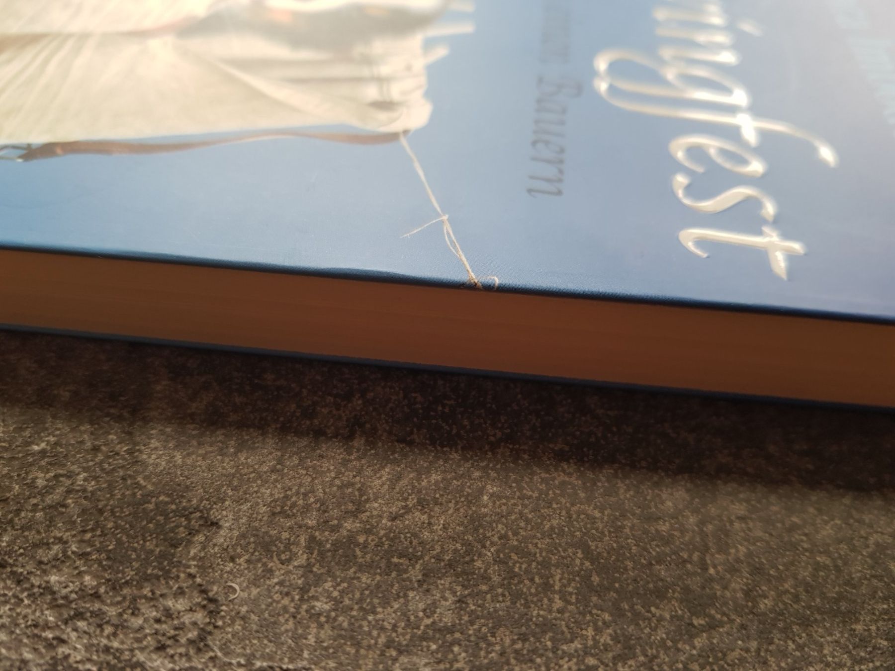 Libri: Schwingfest / Blanca Imboden/ Schweizer Roman – Usato da Dietikon venduto da marconi07 2
