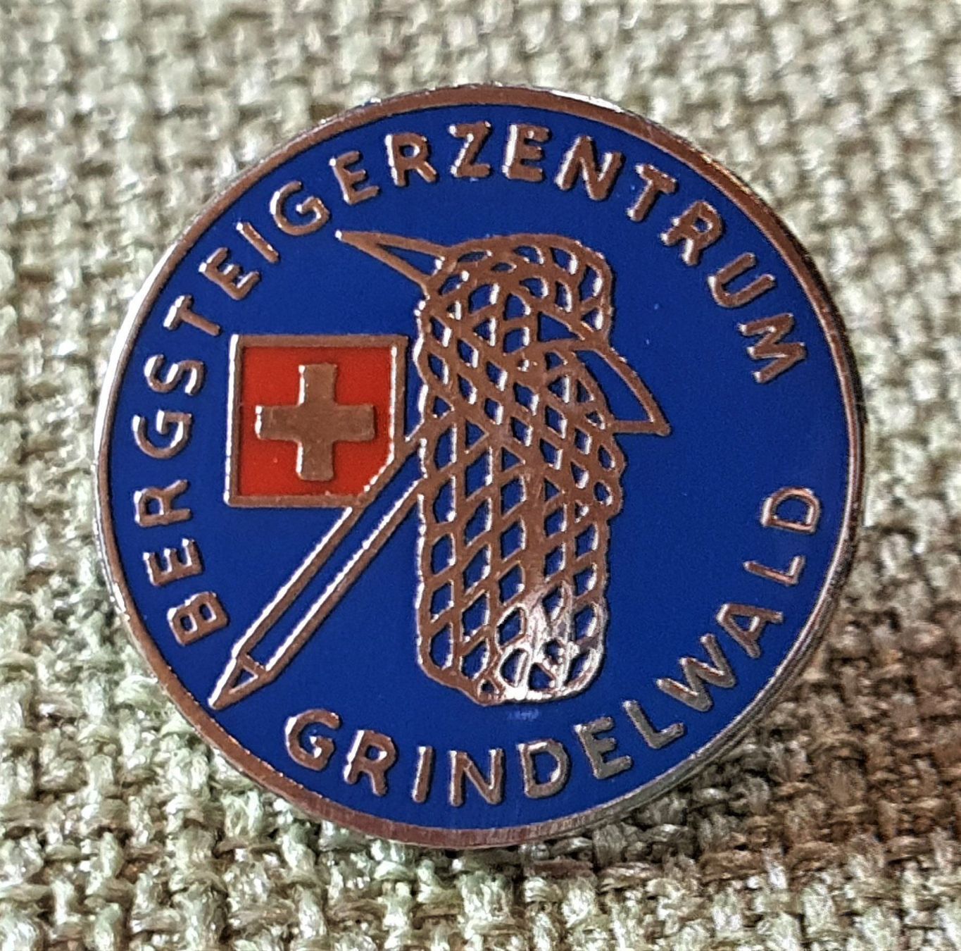 Placchette & Badge: F169  Pin Bergsteigerzentrum Grindelwald – Usato da Reinach BL venduto da Boston-Verkauf