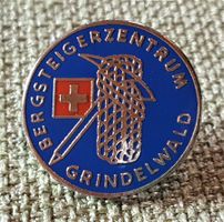 F169  Pin Bergsteigerzentrum Grindelwald