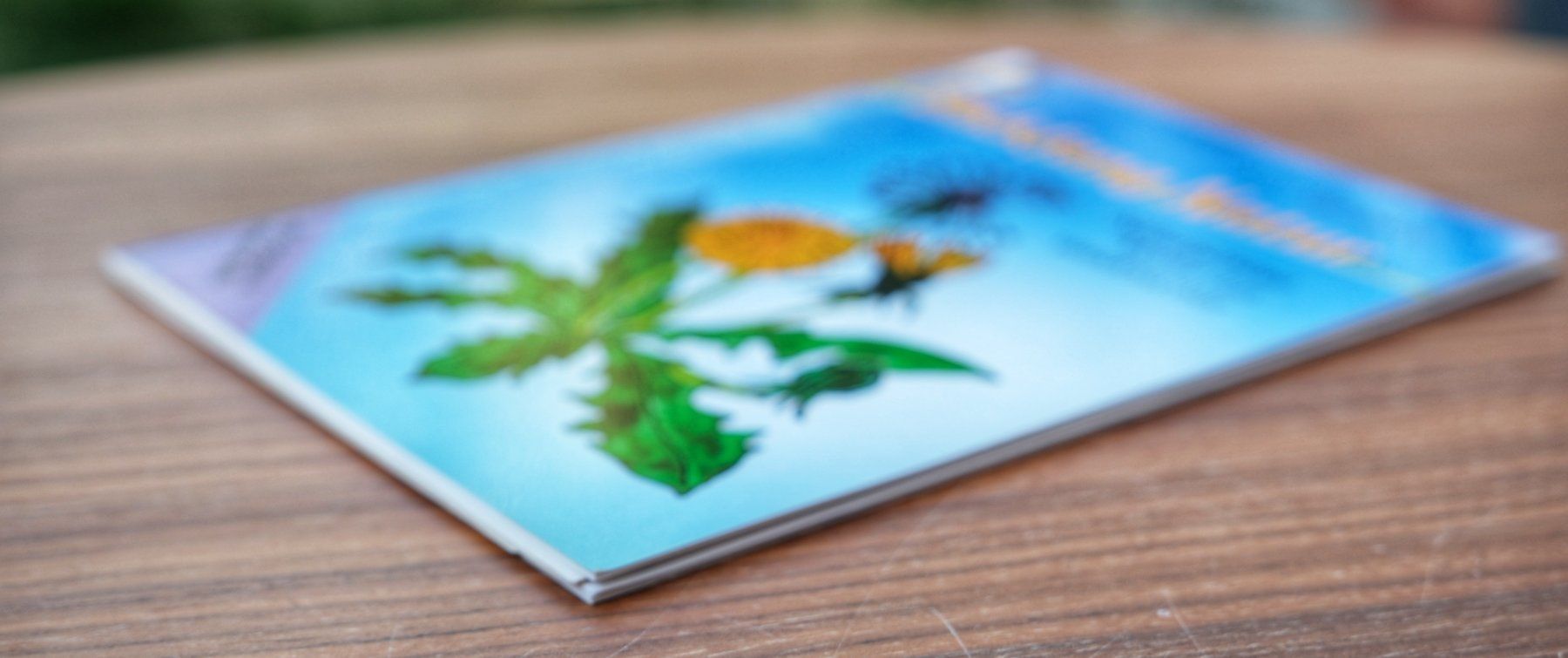 Libri: Blickfang Natur Window Color inkl. Vorlage – Usato da Wohlen AG venduto da Exitburn 2
