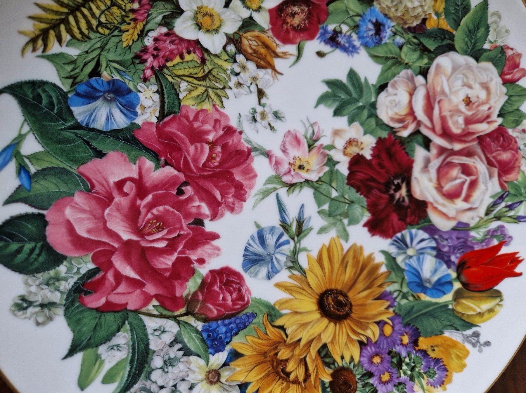 Hutschenreuther Teller: Sammelteller/Wandteller Hutschenreuter – Neu (gemäss Beschreibung) aus Bern von Antikbatik 7