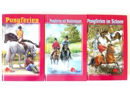 3 Ponyferien Jugendbücher von Gill Morrell PonyClub
