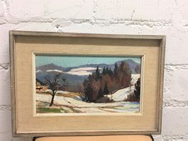 Bezaubernder Winter in Birmensdorf Wald Sig. Max Birkenmeier