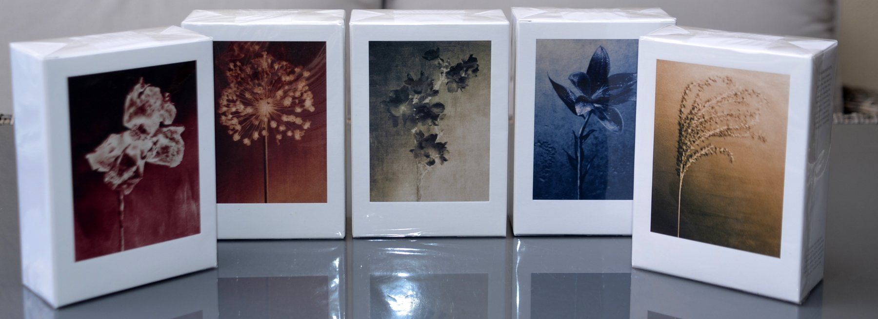 Profumi & Eau de Toilette: 5 x 100 ml EdP AllSaints – Usato da Collonges venduto da arashee 1