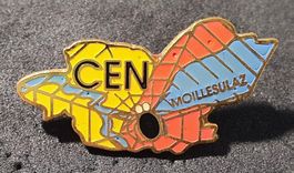 W504 - Pin Genf CEN Moillesulaz Spinne Spinnennetz