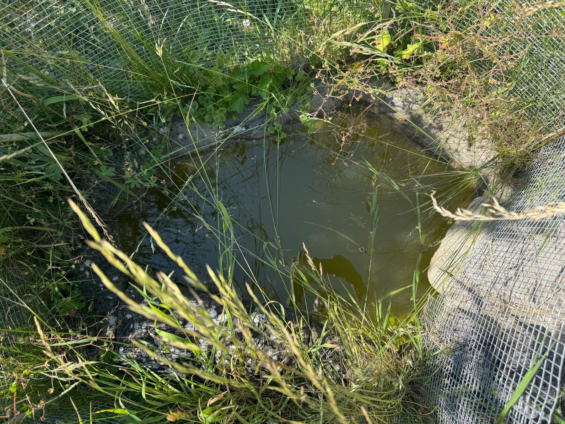 Stagni & Fontane ornamentali: Bachlauf 5-teilig – Usato da Egliswil venduto da Raser76 1