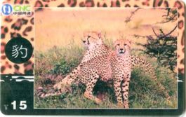 Telefonkarte "Gepard".