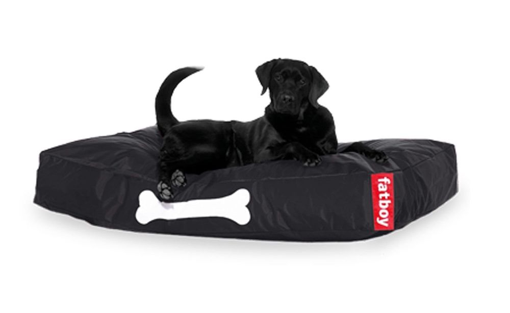 Original Fatboy Doggielounge XL robustes Hundebett | Kaufen auf Ricardo