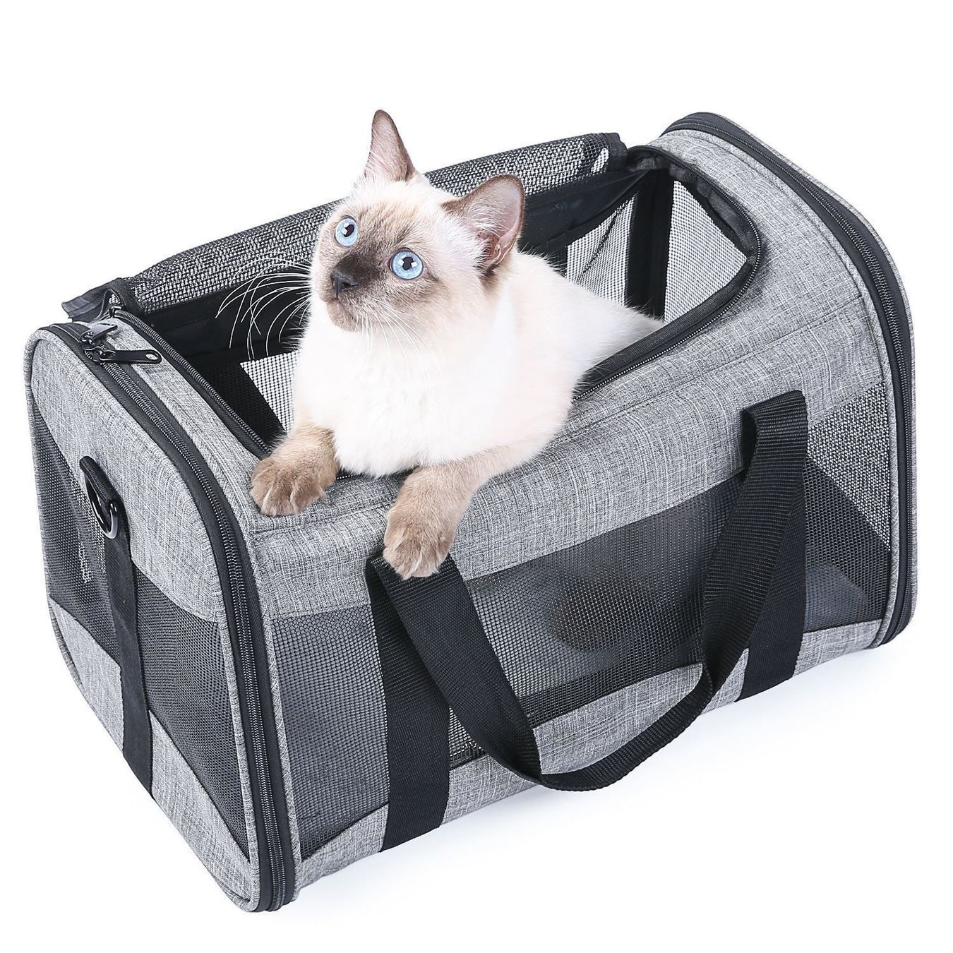 Cucce & Letti: Hundebox Atmungsaktivem Transportbox – Nuovo (secondo la descrizione) da Thun venduto da Newnewshop 1