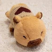 Giocattoli: Capybara Plüschtier mit Pullover  ++ neu und unbenutzt ++ – Nuovo e nell'imballaggio originale da Salez venduto da EMERCARO 1
