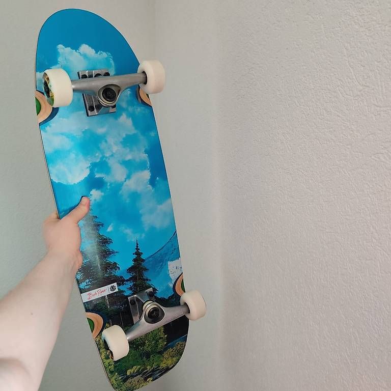 Skateboards: Element x Bob Ross Cruiser – Usato da Kaiseraugst venduto da RagingLobo 1