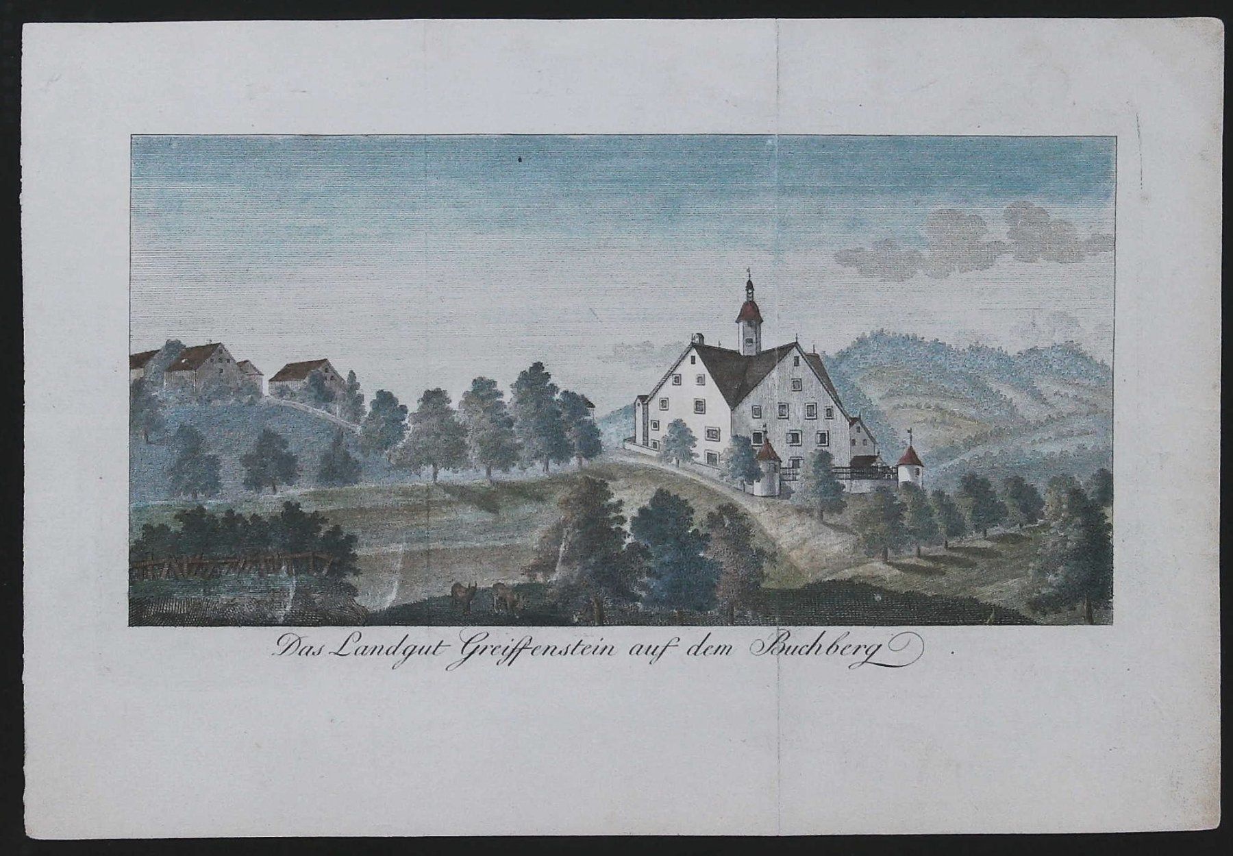 Incisioni: Greifenstein Rheintal von Sulzberger 1805 – Usato da Rafz venduto da Helvet32