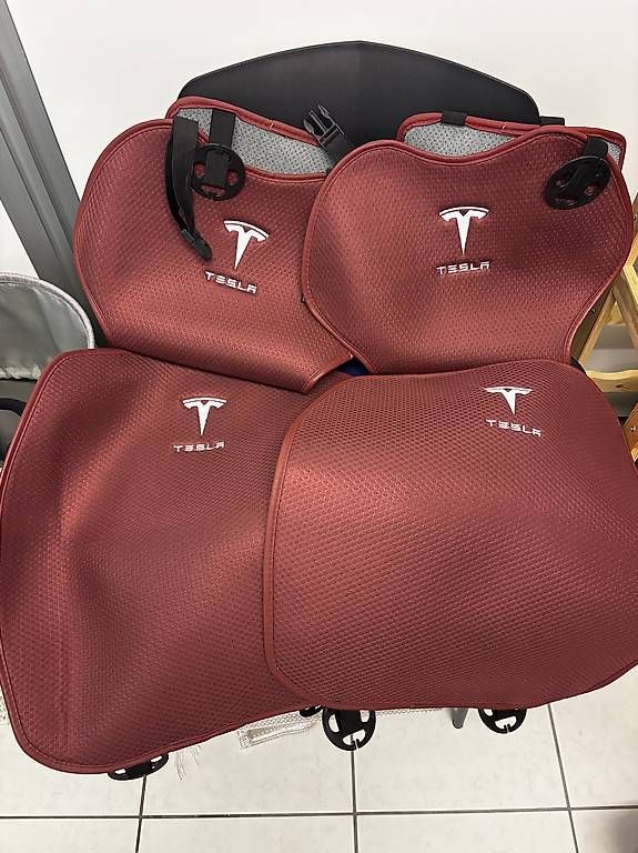 Tesla Automobili: Accessori Tesla Model 3 Highland – Usato da Minusio venduto da mar_d6nd 4