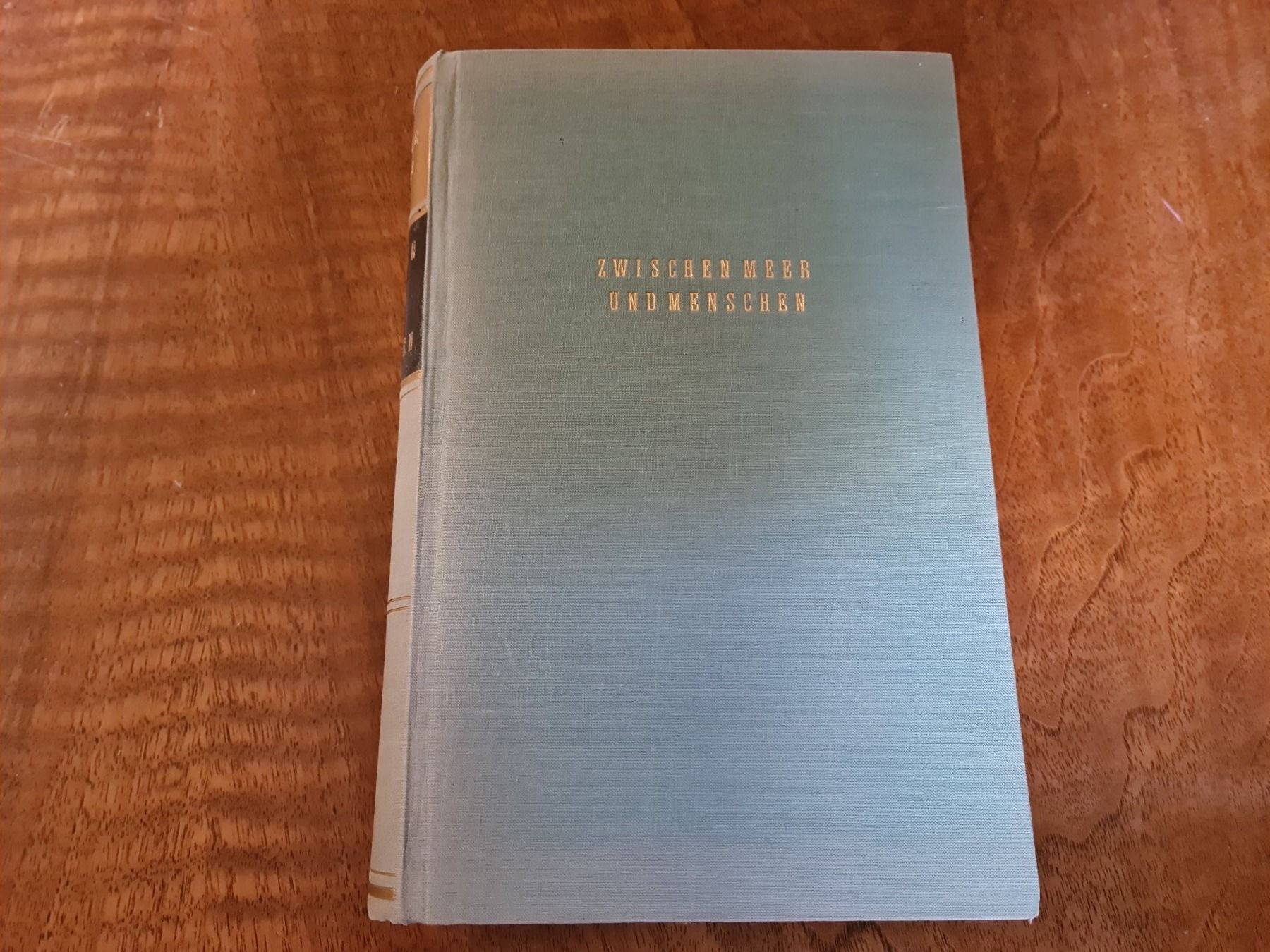 Libri: Zwischen Meer und Menschen – Usato da Erstfeld venduto da Mario_boe0