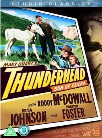Tutti i DVDs: Thunderhead, son of Flicka DVD – Usato da Spiegel b. Bern venduto da Chilidani