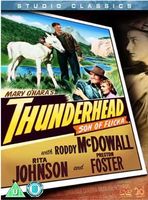 Thunderhead, son of Flicka DVD