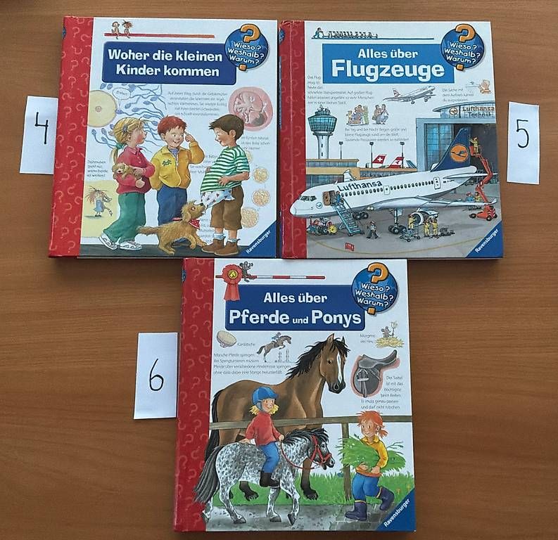 Libri: Kinderbücher Wieso? Weshalb? Warum? – Usato da St. Gallen venduto da petergyoergy 1