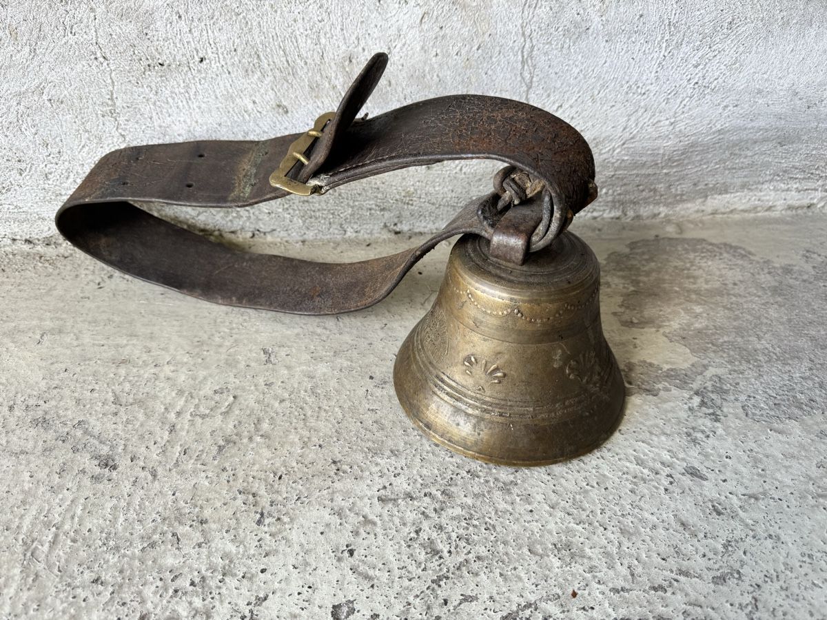 Campanacci mucche: Alte Kuhglocke  – Usato da Frauenfeld venduto da difi67 2