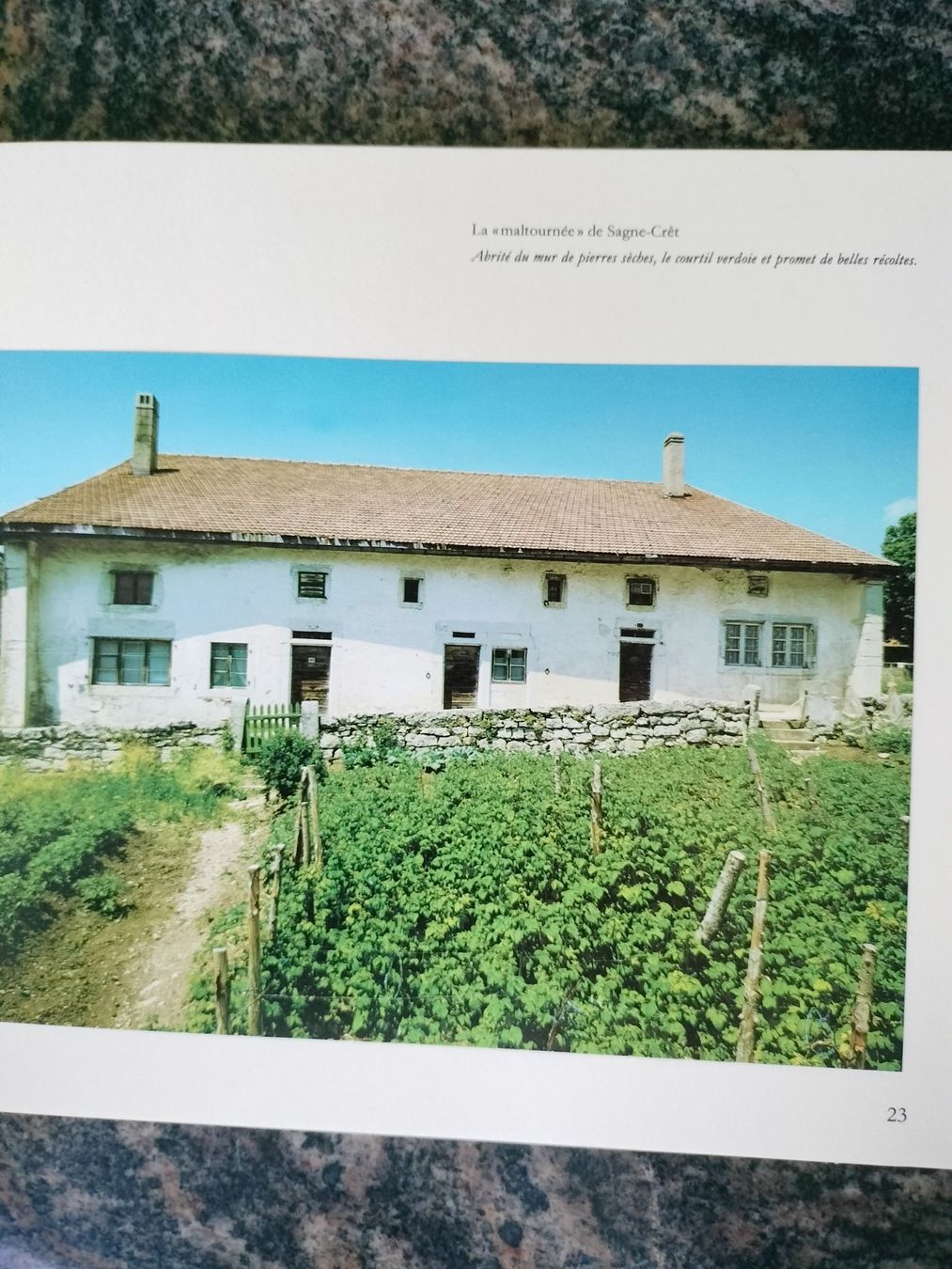 Libri: Fermes neuchâteloises, Jacques-André Steudler Edit.Attinger – Usato da Cortaillod venduto da rozinna 3