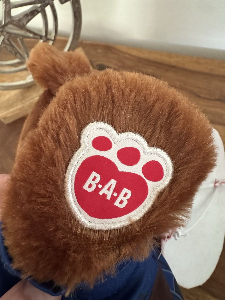 Giocattoli: Captain America Bärli, Build-a-Bear, Superheld Stofftier – Usato da Utzenstorf venduto da ybwarrior 1