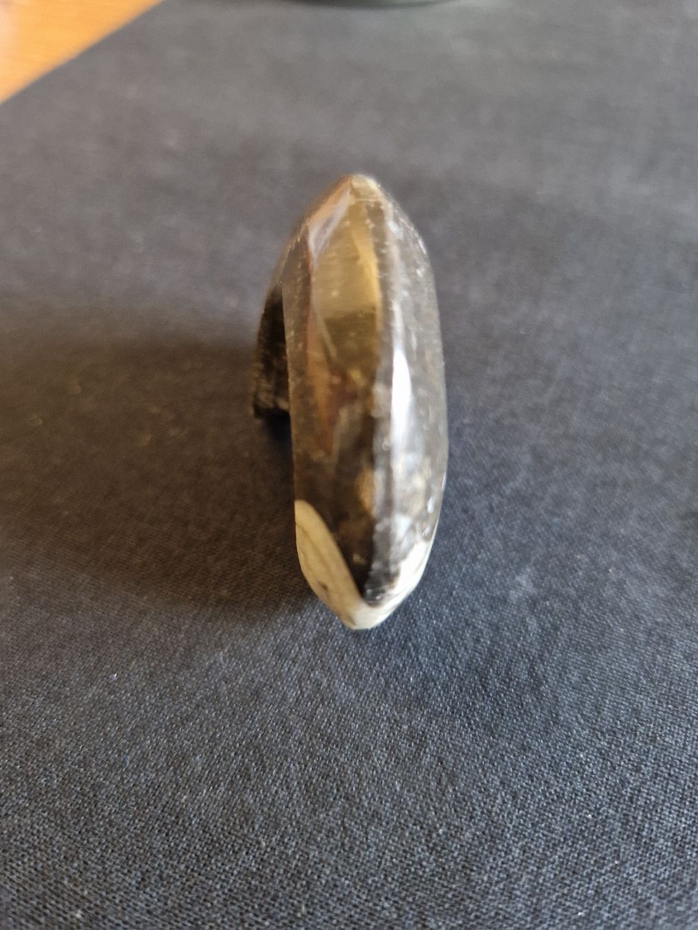 Fossilien: Fossil Ammonite poliert – Gebraucht aus Fislisbach von mka_km8f 1