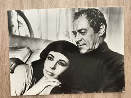 Photographie LizTaylor en metal carton 30*40cm