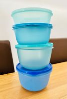 Tupperware Set Vorratsdosen diverse Grössen bunt gebraucht