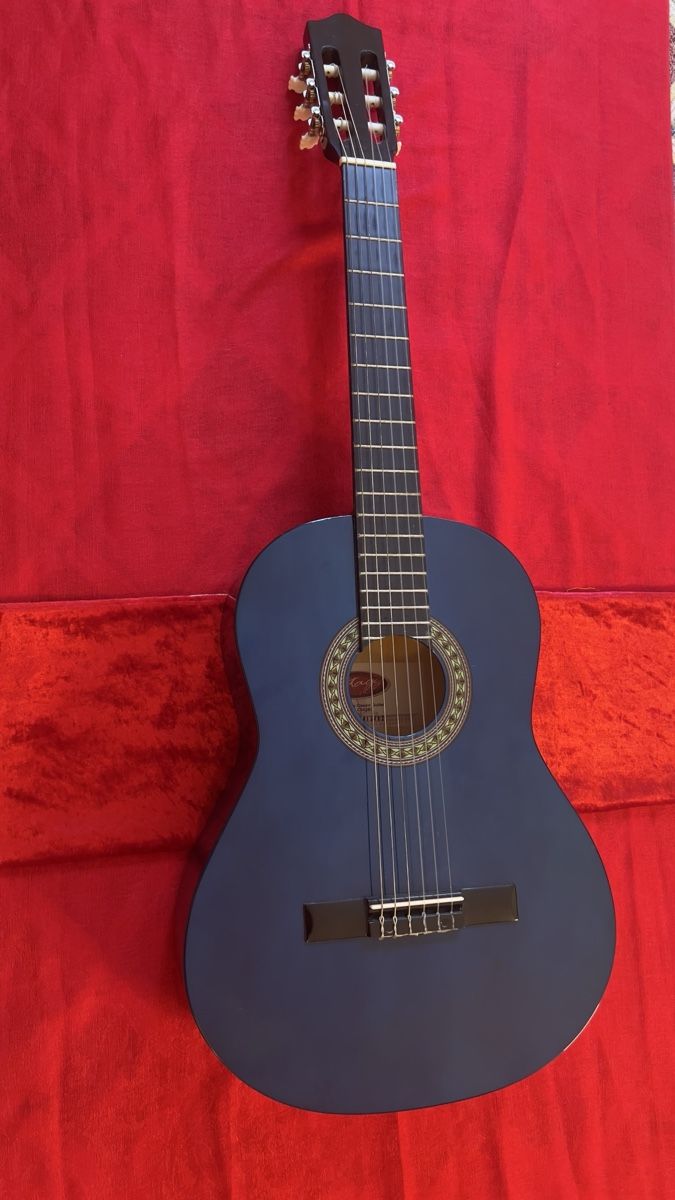 Strumenti musicali: Gitarre blau guter Zustand – Usato da Aathal-Seegräben venduto da ray_x7lz