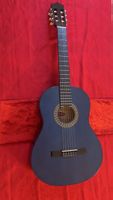 Gitarre blau guter Zustand