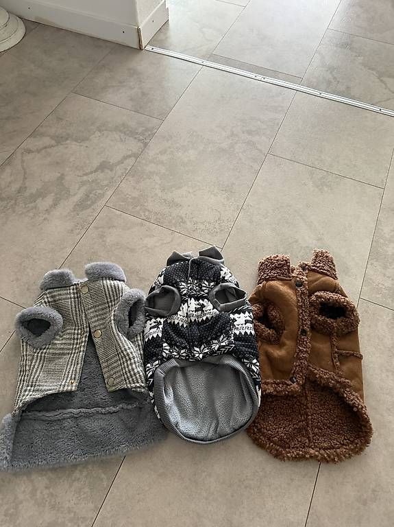 Abbigliamento: 3 mini hundejacken  – Usato da Adligenswil venduto da balboa5 2
