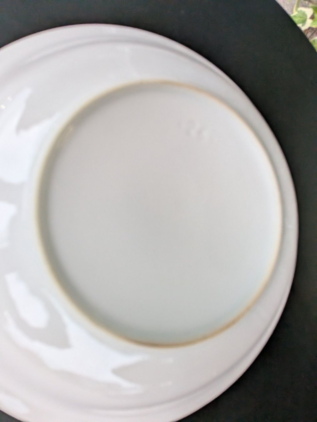 Assiettes: Rössler Schale, Rösti Teller – D'occasion à Emmen par Brockofsky 4
