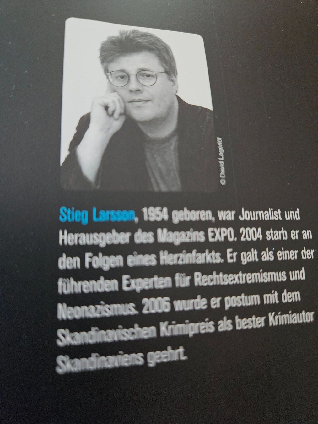 Libri: VERBLENDUNG von Stieg Larsson – Usato da Basel venduto da wurzelstein 4