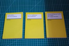 3 Bücher Angebot - Schullektüren