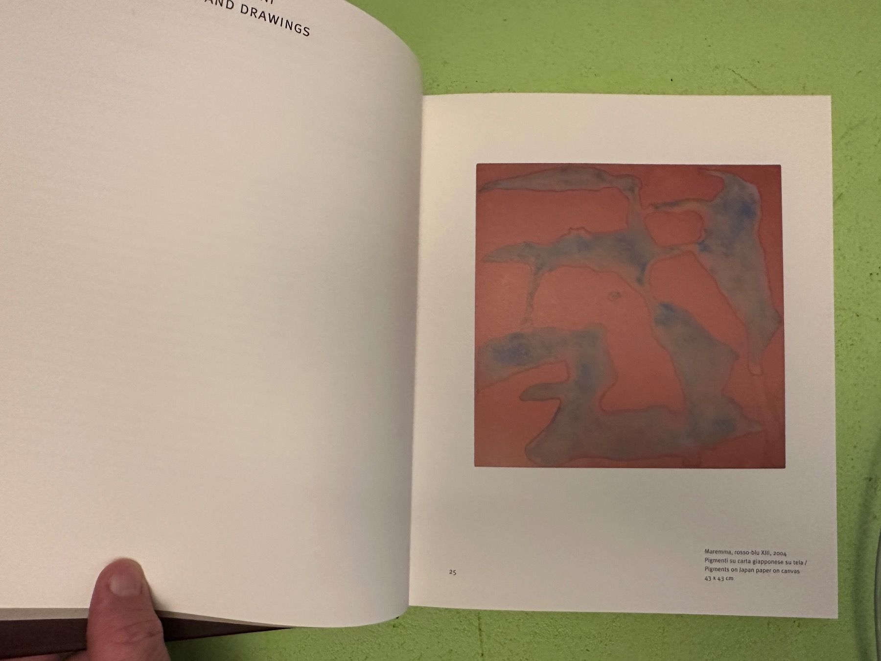 Libri: Jan Jedlicka, Bruno Corà: Pigmenti e disegni 2007 – Usato da Zürich venduto da allp 3