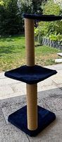 Katzenbaum