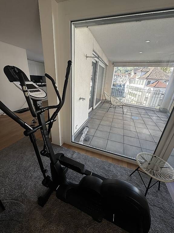 Hometrainer: Crosstrainer/ Cardio Gerät/ Homecardio – Usato da Altstätten SG venduto da dean.pntlc 1