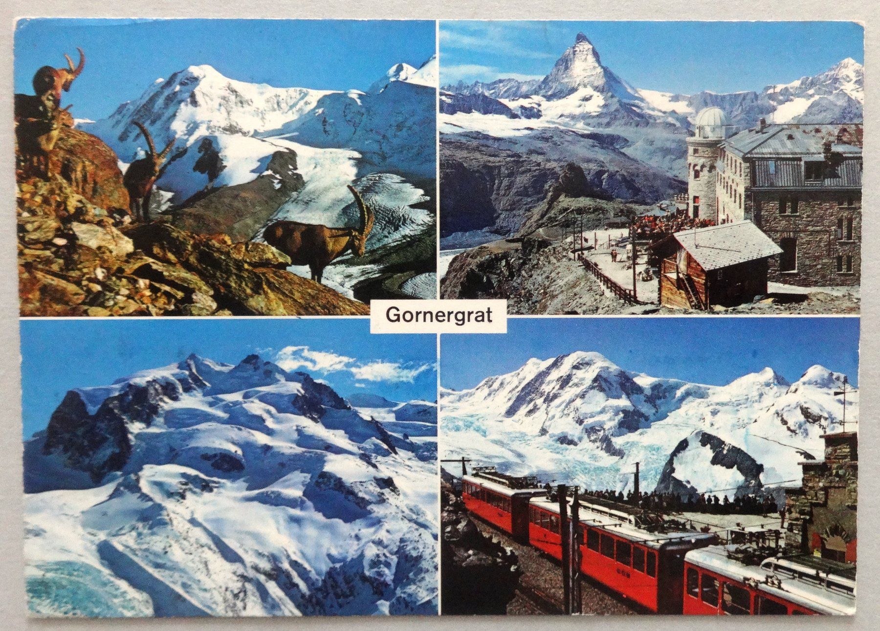 Cartoline postali: Gornergrat 3150 m - Zermatt – Usato da Fétigny venduto da Billy2miny