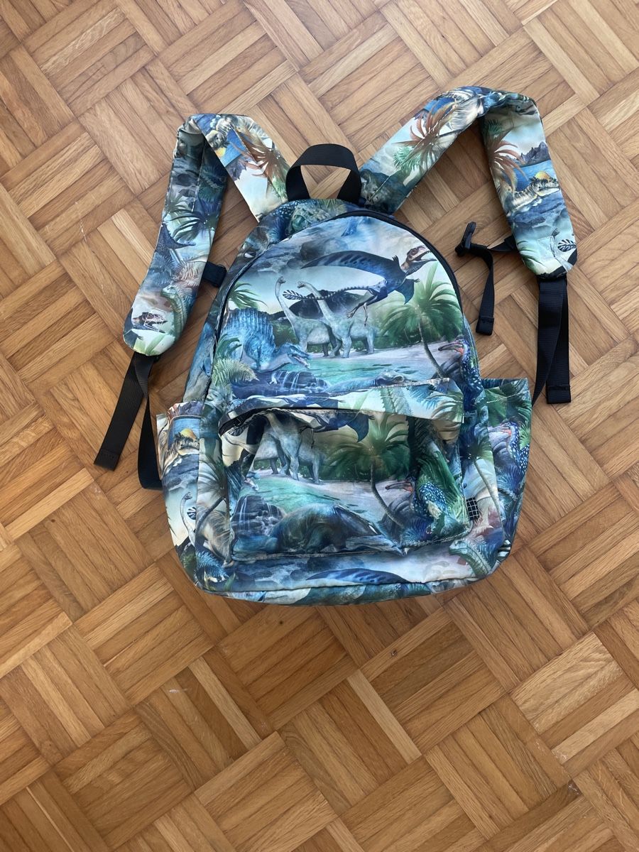 Borse & Zaini: Cooler Dino Rucksack – Usato da Engelburg venduto da Identity