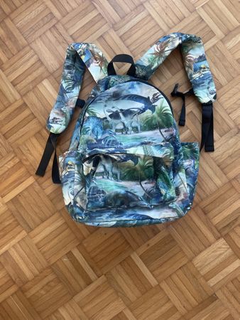Cooler Dino Rucksack