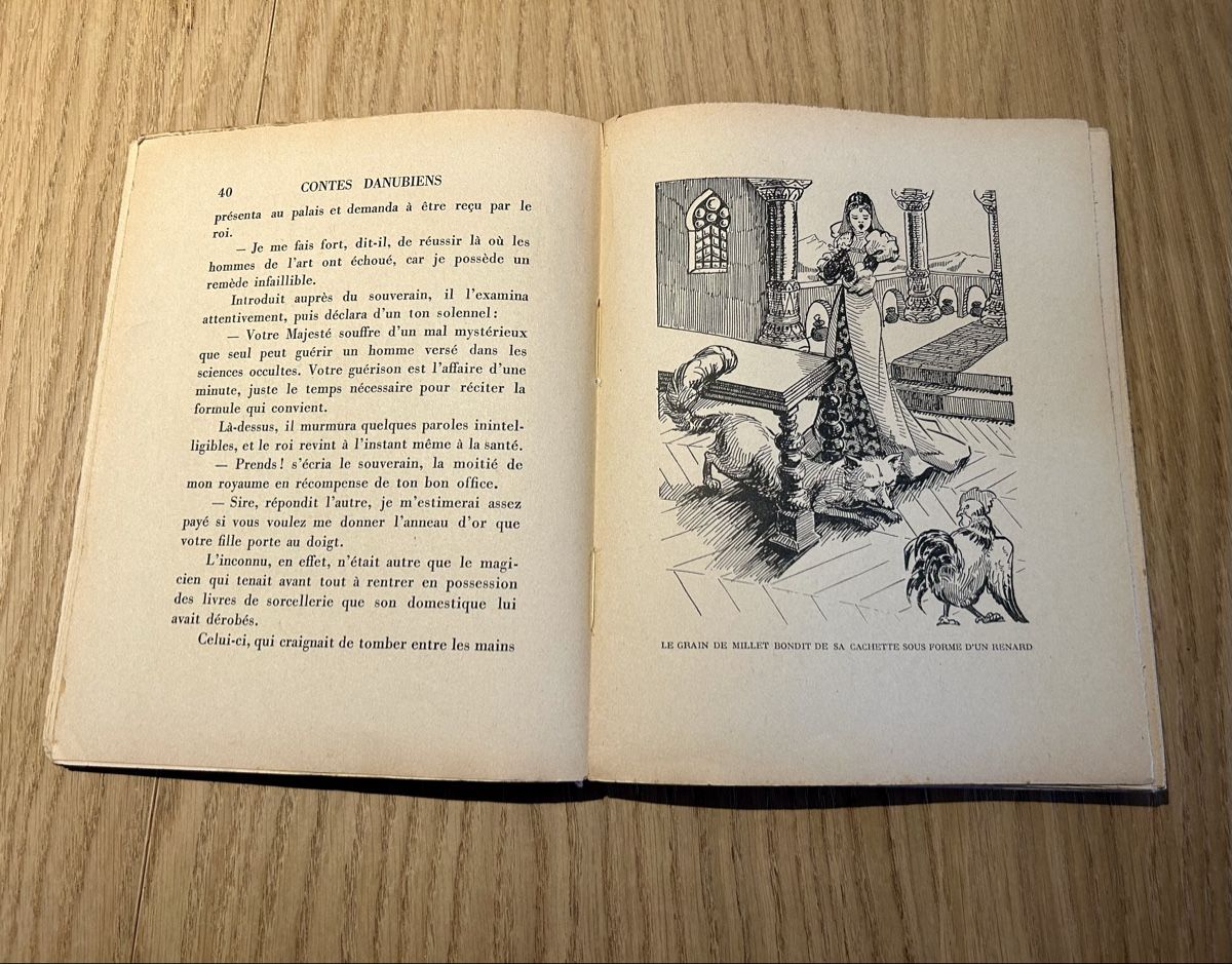 Libri:  Contes danubiens Bourdoncle Albin Michel illustré – Usato da Lausanne venduto da TelmaLouise70 2