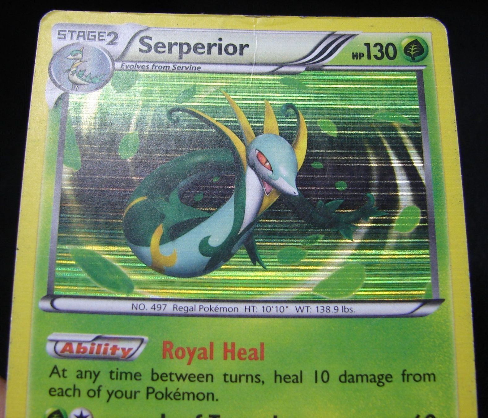 Pokémon Carte collezionabili: Serperior Promo Holo                /163 – Usato da Rümlang venduto da coh_87ww 1