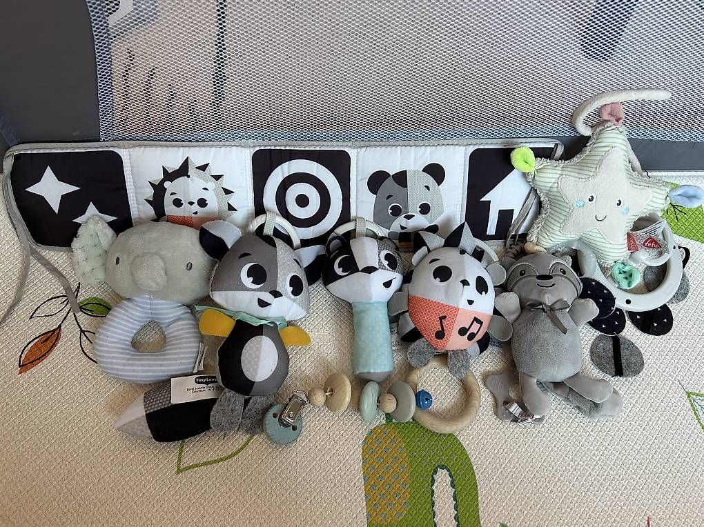 Giocattoli: Jouets pour bébé  – Usato da Echallens venduto da zub_jh6s