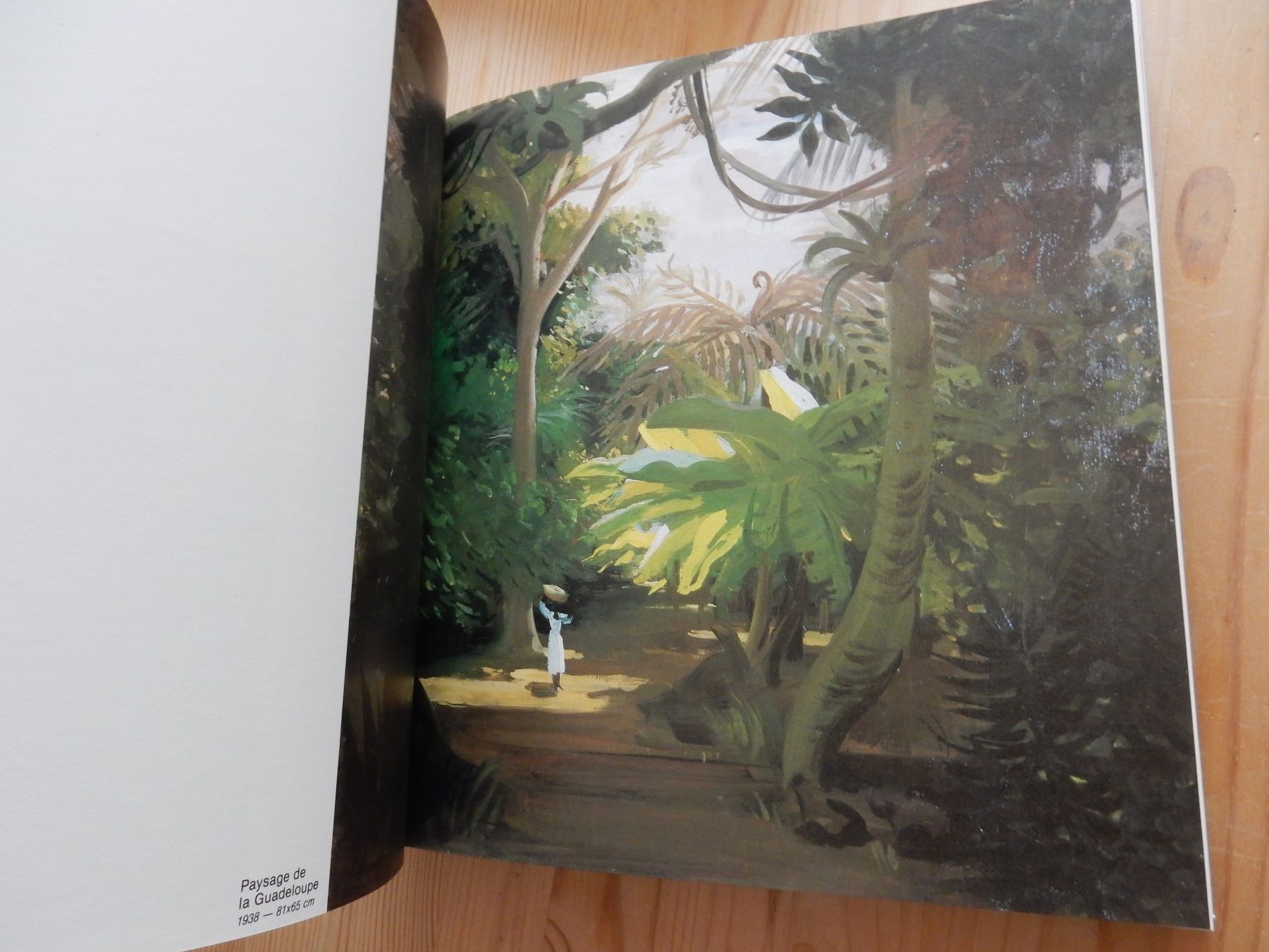 Libri: Buch Kunstbuch Katalog Roger Chapelain Midy Malerei – Usato da Jona venduto da JOberg_25 3